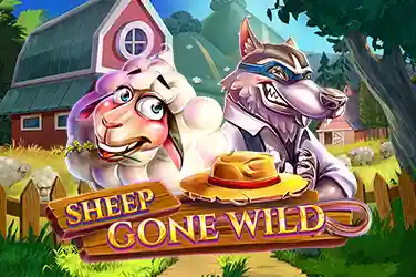 Sheep Gone Wild Red Tiger